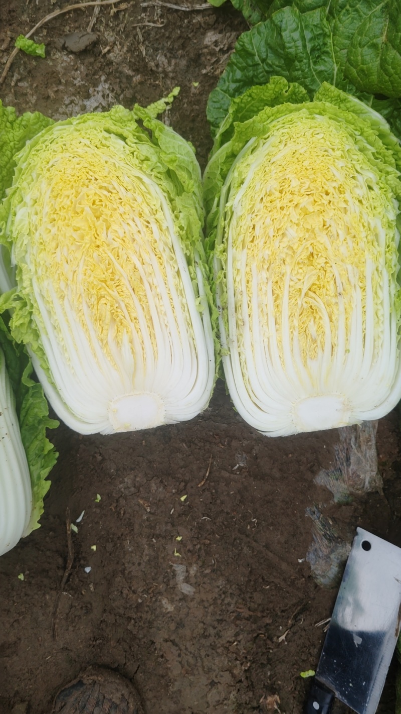 精品市场菜