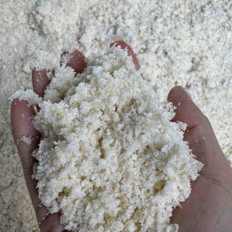 发酵豆腐渣
