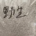 野生葛粉