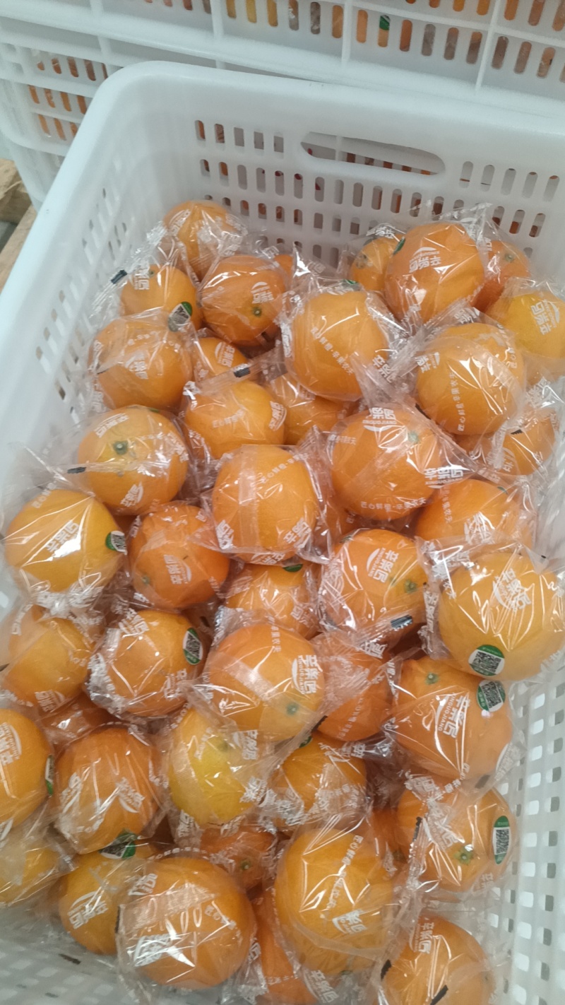 赣南脐橙江西橙子皮薄肉厚口味正宗农家自种