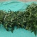 新鲜南板蓝根，健康好味，**特惠，赶紧抢购！