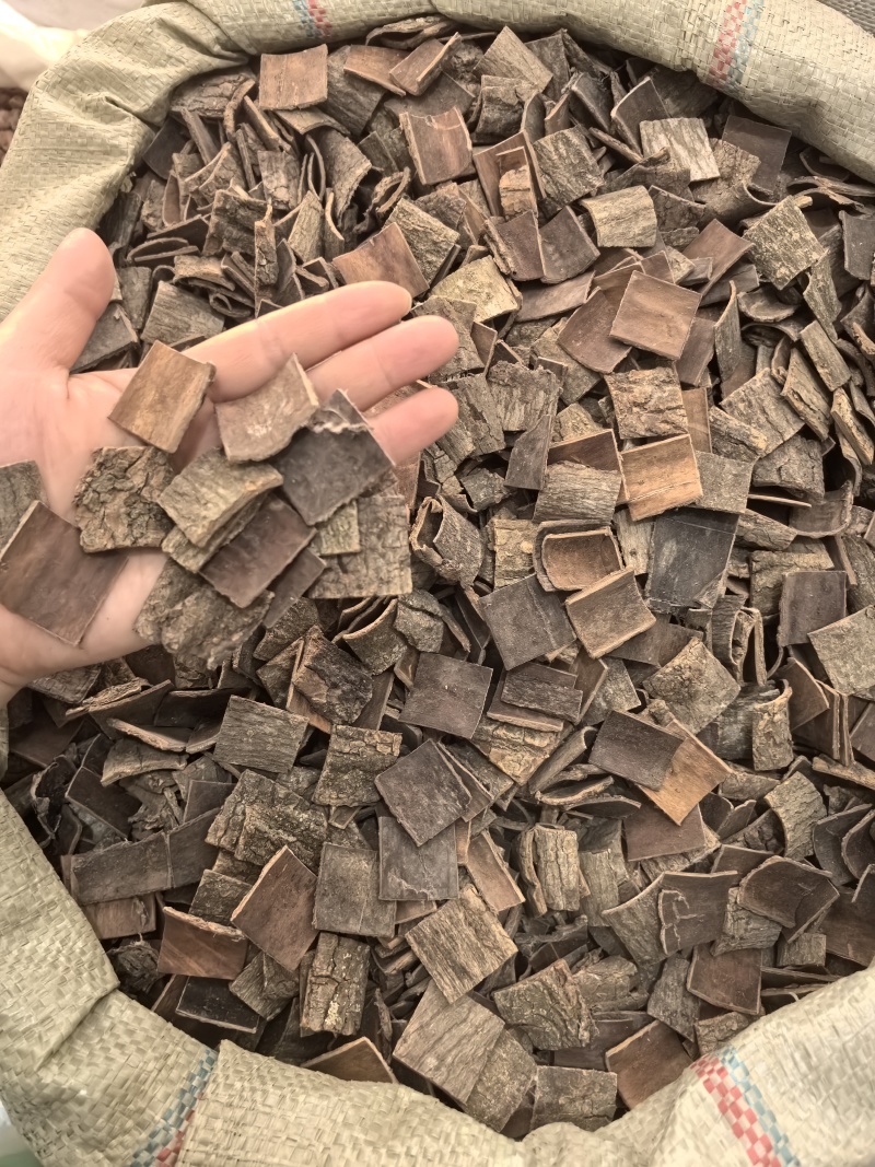 杜仲生杜仲块四川产地货源大量供应中药材批发供应