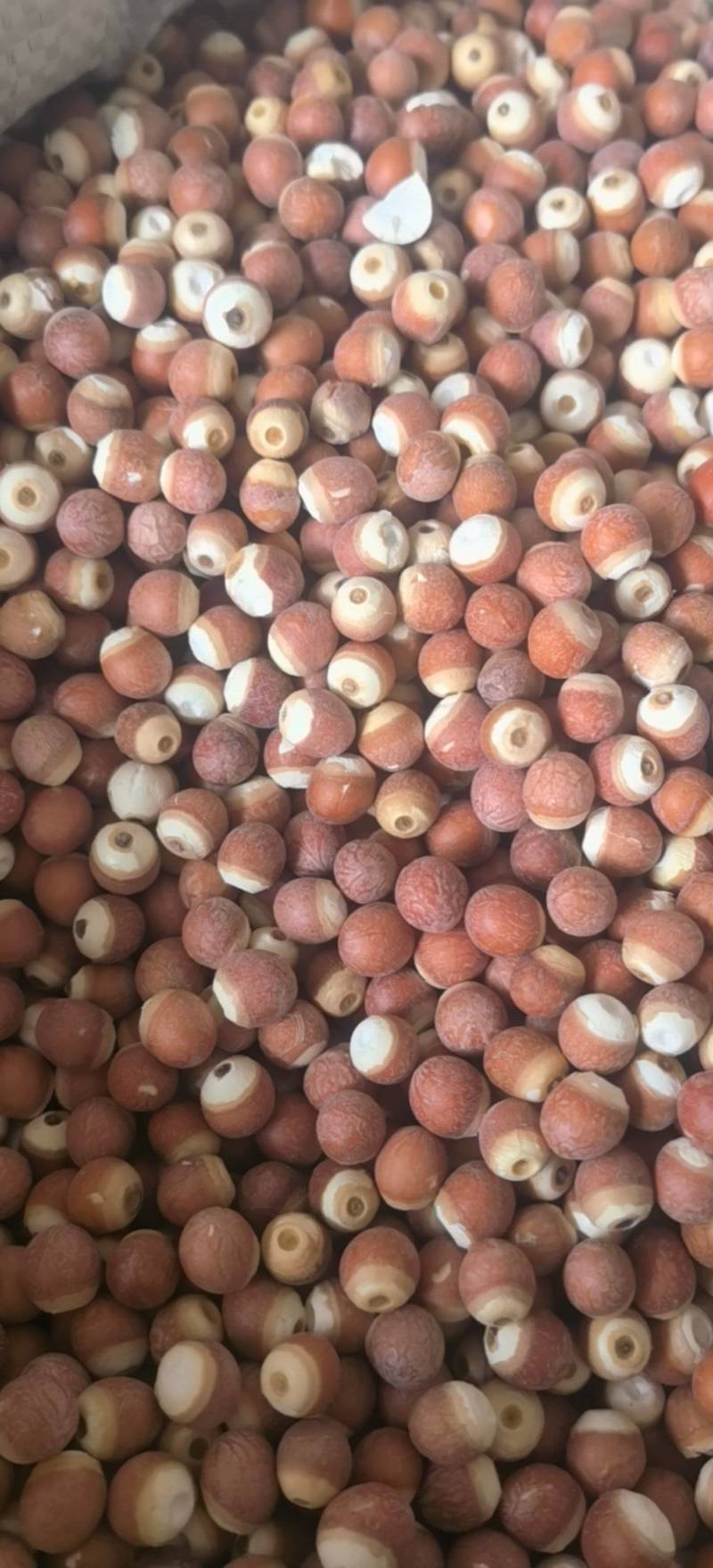 芡实个选0.8厘以上关书药业批发中药材
