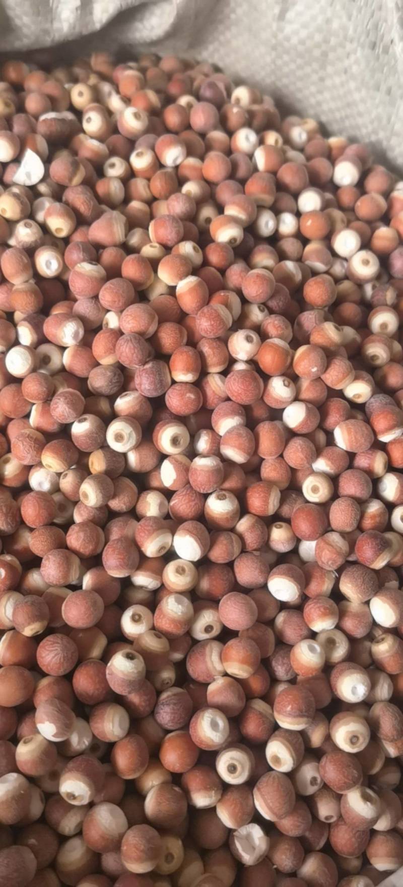 芡实芡实个0.8左右关书药业