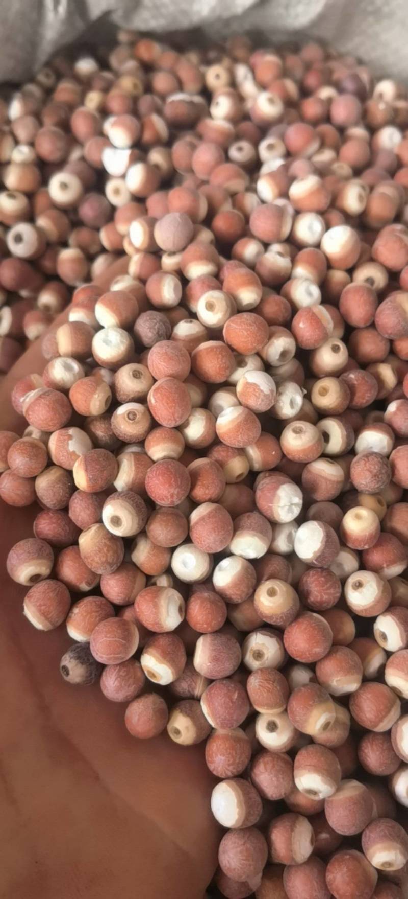 芡实芡实个0.8左右关书药业