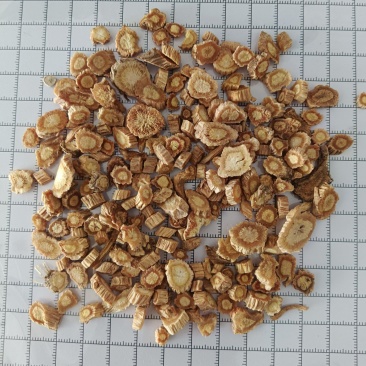 防风，籽播防风，新货无硫实拍现货24小时内发货