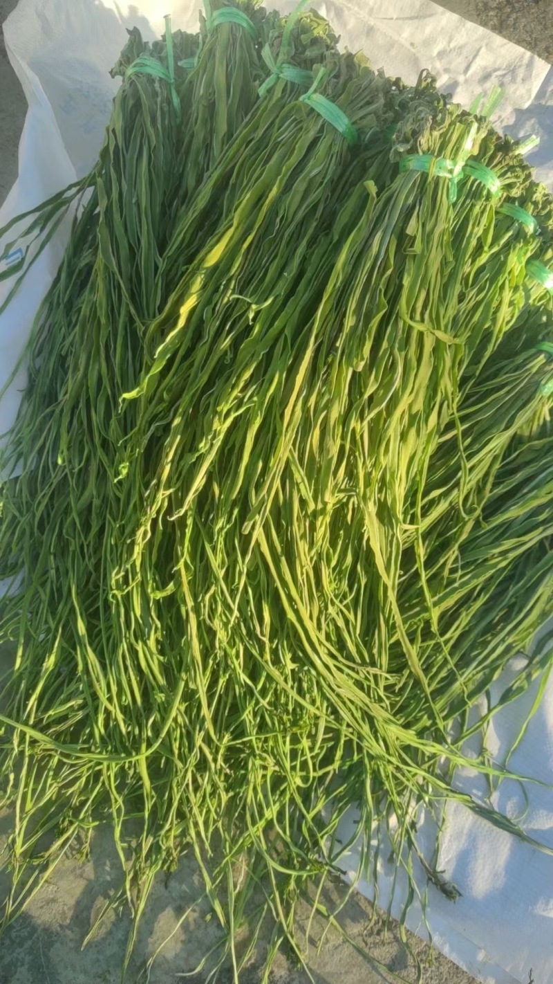 新鲜云南产地直供，品质保证，**特惠，快来选购！
