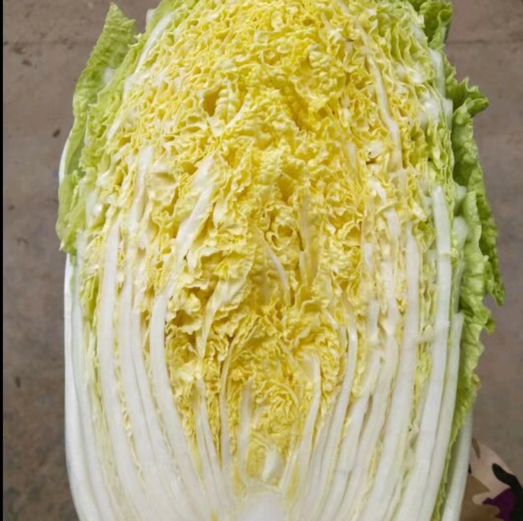 展示白菜与血糖关系的逻辑图,包括烹饪方式、个体差异、营养成分等因素 白菜与血糖关系总结图示