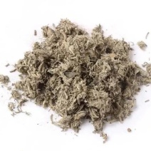 茵陈大货批发代购代销