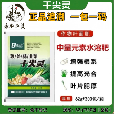葱姜蒜韭菜干尖灵增产小葱大蒜苗大葱干尖黄叶弯钩香葱叶面肥