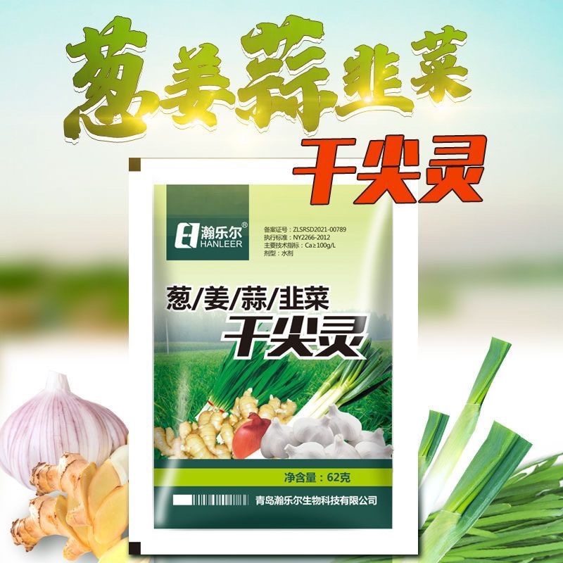 葱姜蒜韭菜干尖灵增产小葱大蒜苗大葱干尖黄叶弯钩香葱叶面肥