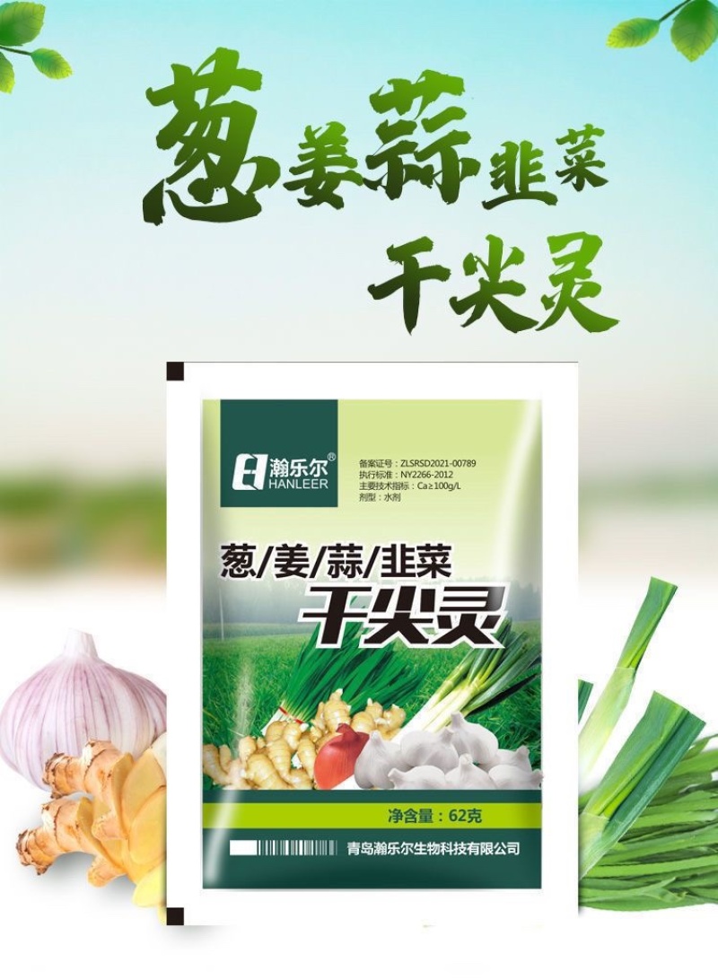 葱姜蒜韭菜干尖灵增产小葱大蒜苗大葱干尖黄叶弯钩香葱叶面肥