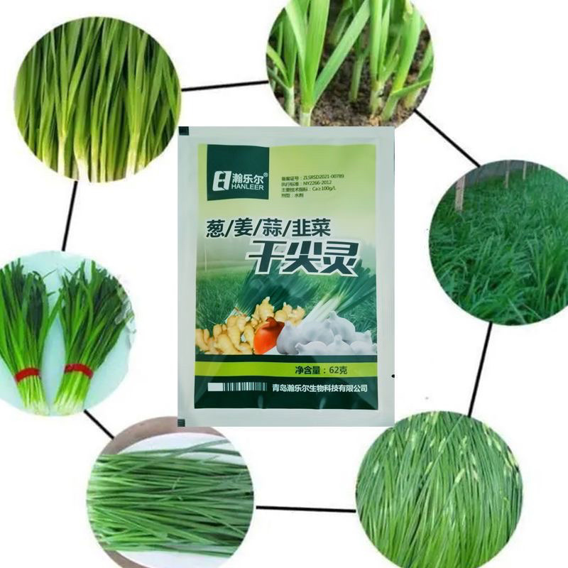 葱姜蒜韭菜干尖灵增产小葱大蒜苗大葱干尖黄叶弯钩香葱叶面肥