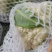 【精品花菜】河南安阳白面白梗松花菜新鲜上市，量大现货