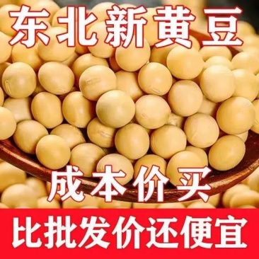 10斤东北新黄豆黑龙江大豆