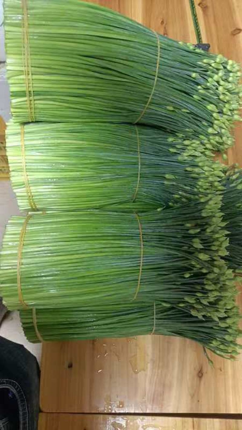 韭苔货源充足，全国发货，厂里有货，价格美丽
