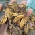 石仙桃代加工超细粉破壁粉