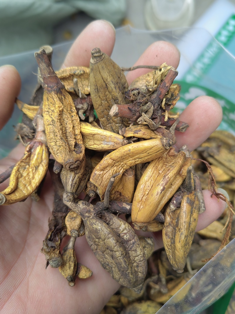 石仙桃代加工超细粉破壁粉