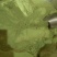 纯绿荷叶粉批发代加工超细粉