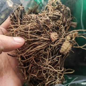 中药材藜芦代加工超细粉