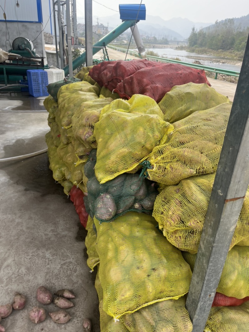 红薯粉纯正红薯粉无任何添加安徽大别山纯种红薯厂家直销量大从优