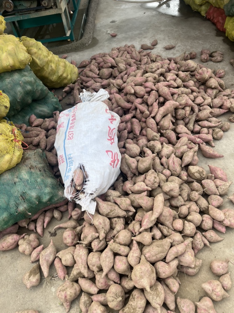 红薯粉纯正红薯粉无任何添加安徽大别山纯种红薯厂家直销量大从优