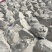 红薯粉纯正红薯粉无任何添加安徽大别山纯种红薯厂家直销量大从优
