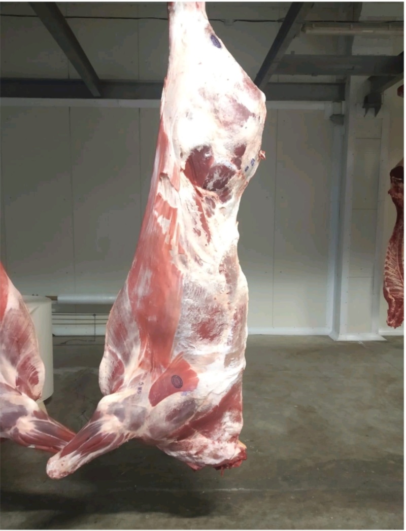 牛肉，四分体货源充足欢迎联系支持视频看货