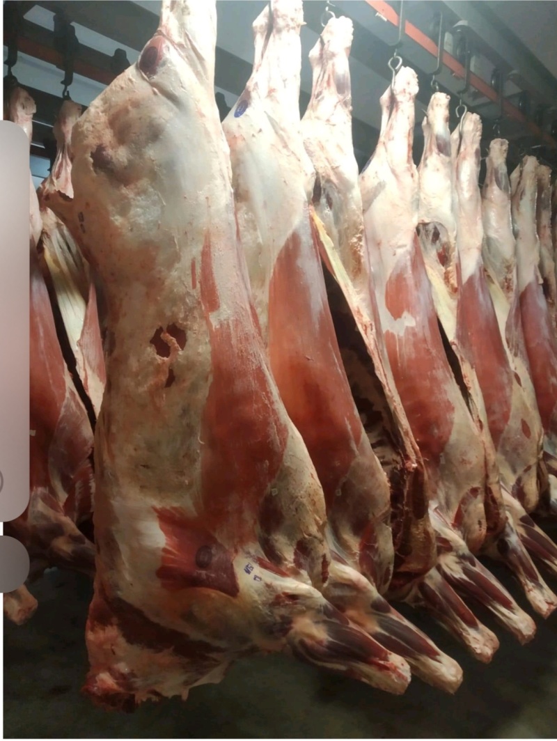 牛肉，四分体货源充足欢迎联系支持视频看货