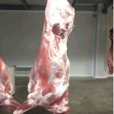 牛肉，四分体货源充足欢迎联系支持视频看货