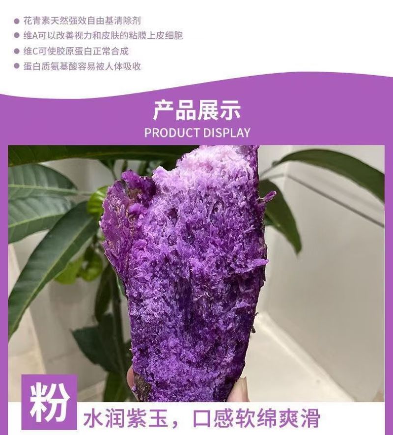 （包邮）紫山药铁棍山药紫淮山药大薯脚板薯紫薯毛薯新鲜蔬菜