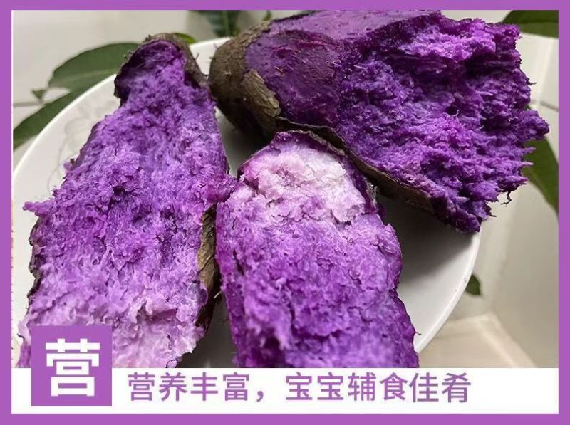 （包邮）紫山药铁棍山药紫淮山药大薯脚板薯紫薯毛薯新鲜蔬菜