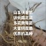 白芨苗紫花三叉白芨苗露天苗中宽叶驯化苗紫花白芨量大从优
