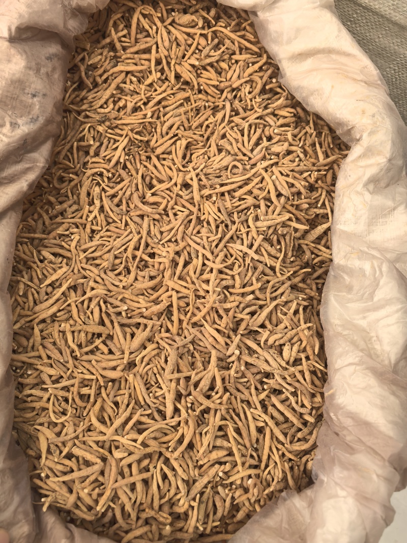 太子参选太子参贵州产地直发大货供应多种规格七彩百草
