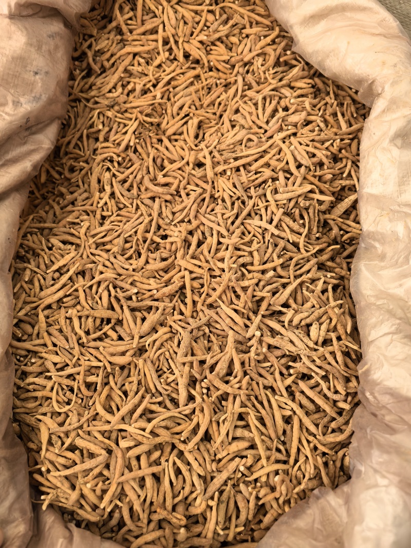 太子参选太子参贵州产地直发大货供应多种规格七彩百草