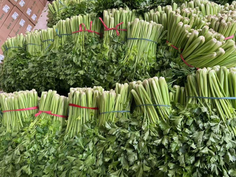 芹菜，西芹，基地货，冷棚暖棚都有，质优价廉，