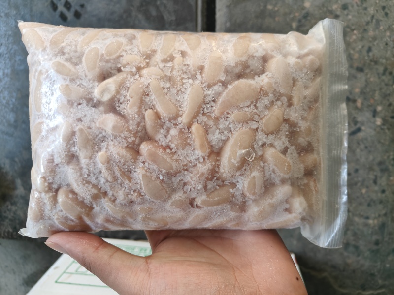鸡腰子工厂直发全新货。