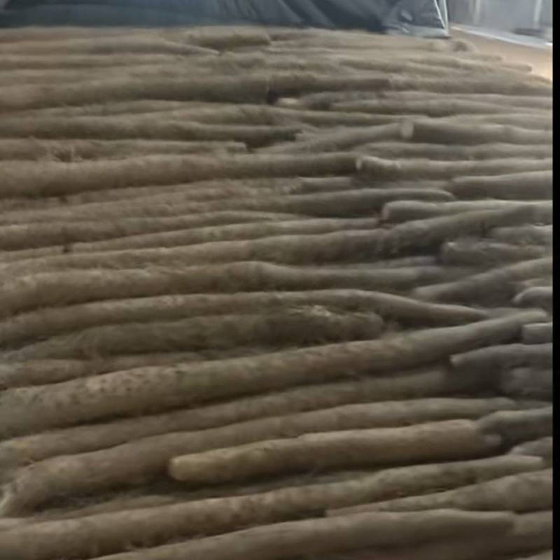 山西白玉山药，产地直销，欢迎实地考察