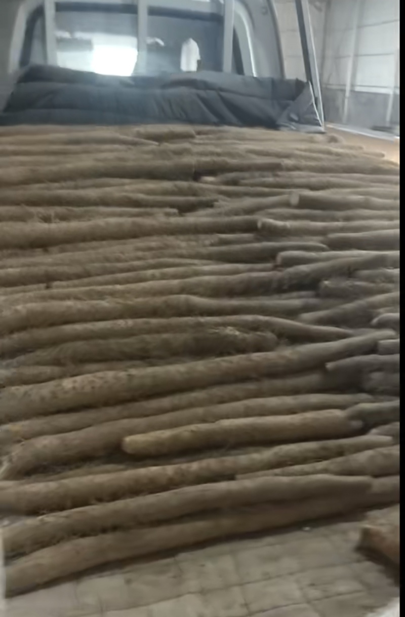 山西白玉山药，产地直销，欢迎实地考察