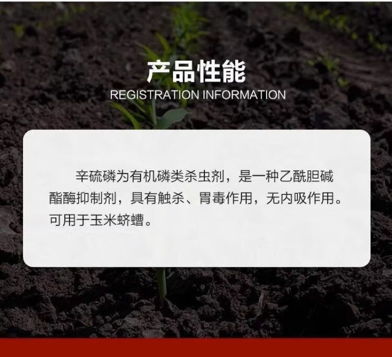 3%辛硫磷颗粒常备杀虫药玉米地蛴螬专用药杀虫剂农用