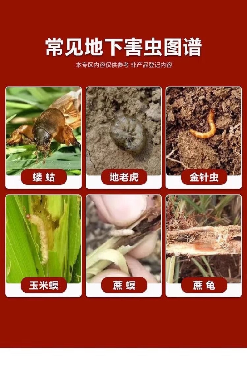 3%辛硫磷颗粒常备杀虫药玉米地蛴螬专用药杀虫剂农用