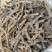 沙虫干淡干无沙公沙虫灰虫