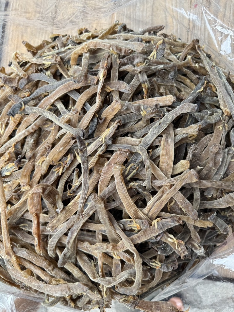 沙虫干淡干无沙公沙虫灰虫