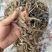 沙虫干淡干无沙公沙虫灰虫