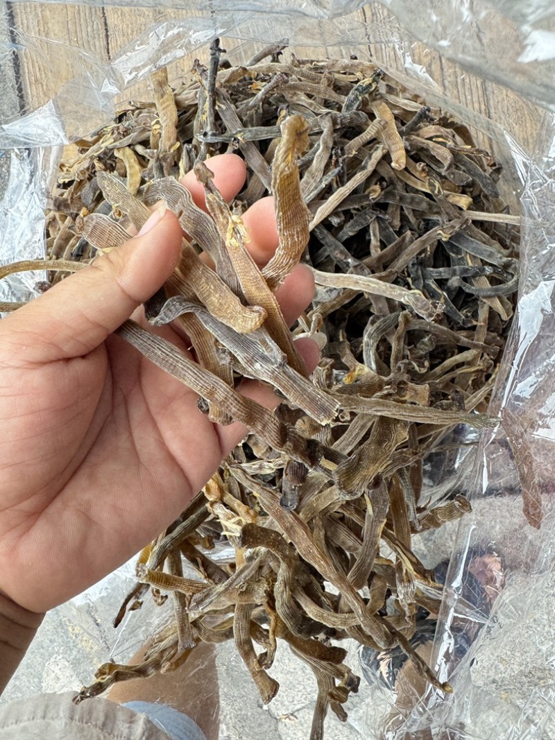 沙虫干淡干无沙公沙虫灰虫