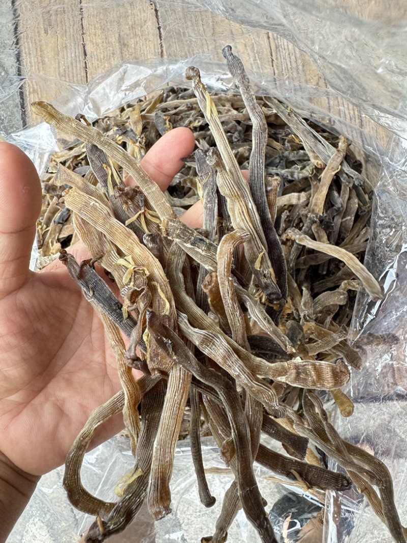 沙虫干淡干无沙公沙虫灰虫