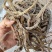 沙虫干淡干无沙公沙虫灰虫