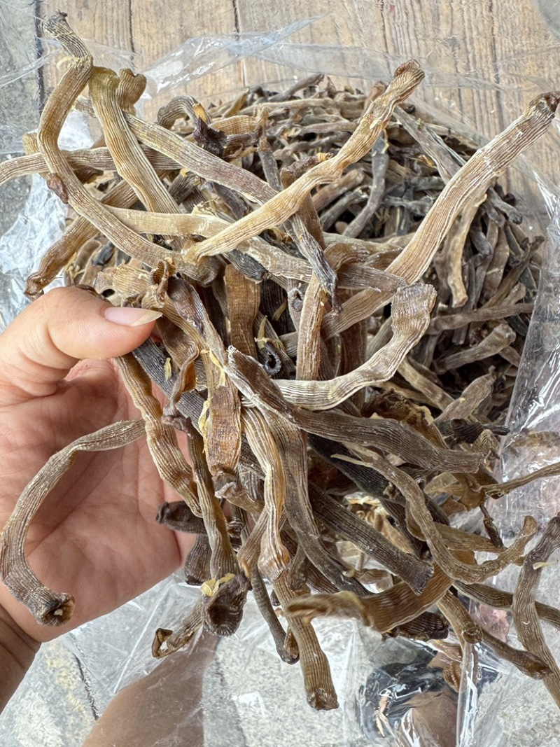 沙虫干淡干无沙公沙虫灰虫