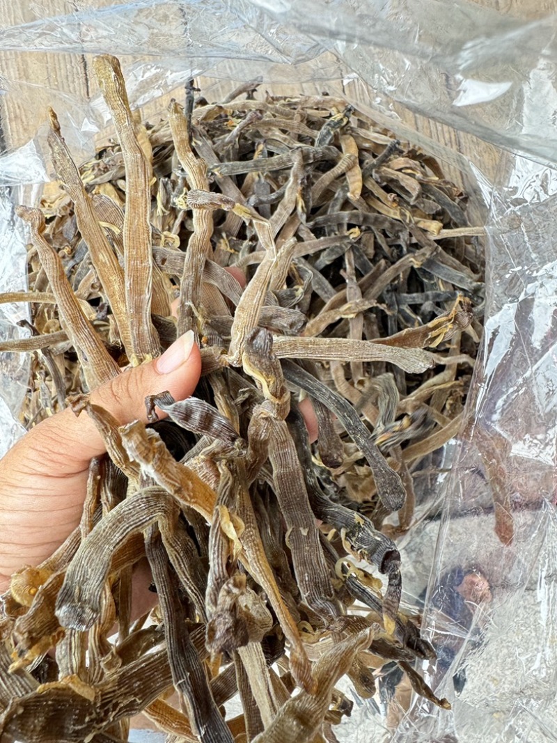 沙虫干淡干无沙公沙虫灰虫