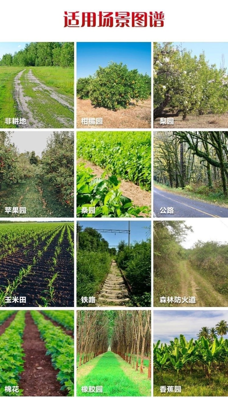 丰化金手93%2甲·草甘膦2甲4氯钠除草伴侣双包除草剂